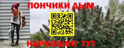 твердый Камышлов
