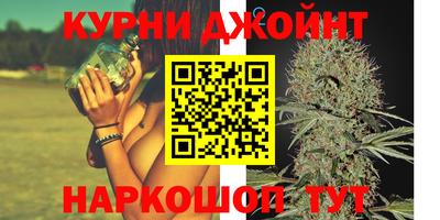 стаф Кингисепп