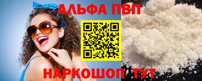 стаф Кингисепп